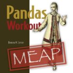 خرید و دانلود نسخه کامل کتاب Pandas Workout (MEAP V15)