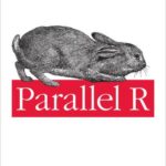 خرید و دانلود نسخه کامل کتاب Parallel R