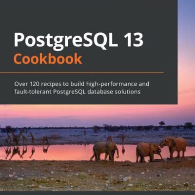 خرید و دانلود نسخه کامل کتاب PostgreSQL 13 Cookbook: Over 120 recipes to build high-performance and fault-tolerant PostgreSQL database solutions