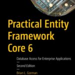 خرید و دانلود نسخه کامل کتاب Practical Entity Framework Core 6: Database Access for Enterprise Applications