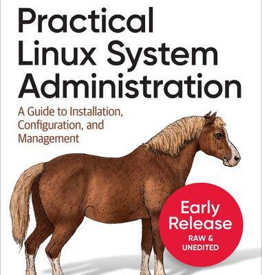 خرید و دانلود نسخه کامل کتاب Practical Linux System Administration: A Guide to Installation, Configuration, and Management (Thirteenth Early Release)