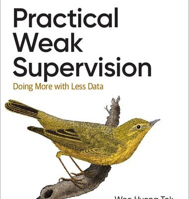 خرید و دانلود نسخه کامل کتاب Practical Weak Supervision: Doing More with Less Data