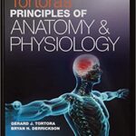 خرید و دانلود نسخه کامل کتاب Principles of Anatomy and Physiology Set (15th Edition) -  PDF