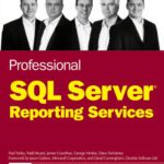 خرید و دانلود نسخه کامل کتاب Professional SQL Server Reporting Services