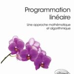 خرید و دانلود نسخه کامل کتاب Programmation linéaire