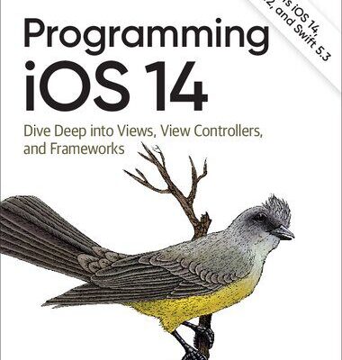 خرید و دانلود نسخه کامل کتاب Programming iOS 14: Dive Deep into Views, View Controllers, and Frameworks