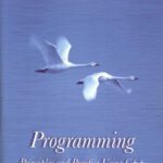 خرید و دانلود نسخه کامل کتاب Programming: Principles and Practice Using C++
