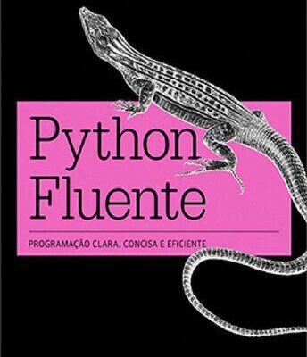 خرید و دانلود نسخه کامل کتاب Python Fluente (Dark Mode Uncompressed)