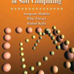 خرید و دانلود نسخه کامل کتاب Real Life Applications of Soft Computing