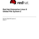 خرید و دانلود نسخه کامل کتاب Red Hat Enterprise Linux 6 Global File System 2