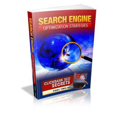 خرید و دانلود نسخه کامل کتاب Search Engine Optimization Strategies Part Two