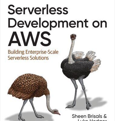خرید و دانلود نسخه کامل کتاب Serverless Development on AWS