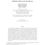 خرید و دانلود نسخه کامل کتاب Shiftable Multi-scale Transforms