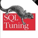 خرید و دانلود نسخه کامل کتاب SQL Tuning