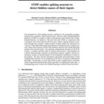 خرید و دانلود نسخه کامل کتاب STDP enables spiking neurons to detect hidden causes of their inputs