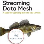 خرید و دانلود نسخه کامل کتاب Streaming Data Mesh (Final Release)