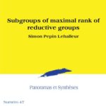 خرید و دانلود نسخه کامل کتاب Subgroups of maximal rank of reductive groups