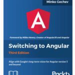 خرید و دانلود نسخه کامل کتاب Switching to Angular