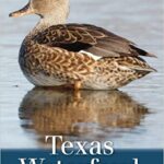 خرید و دانلود نسخه کامل کتاب Texas Waterfowl (Volume 46) (W. L. Moody Jr. Natural History Series)  -  +  pdf