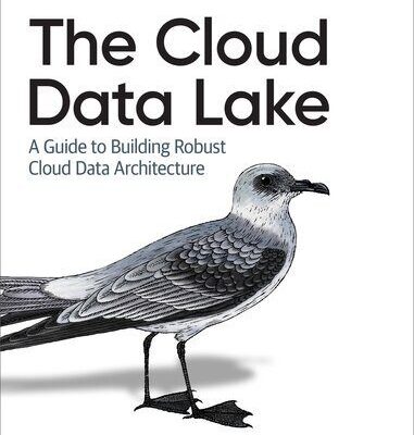خرید و دانلود نسخه کامل کتاب The Cloud Data Lake: A Guide to Building Robust Cloud Data Architecture