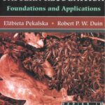 خرید و دانلود نسخه کامل کتاب The Dissimilarity Representation for Pattern Recognition: Foundations and Applications