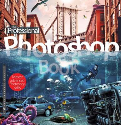 خرید و دانلود نسخه کامل کتاب The Professional Photoshop Book