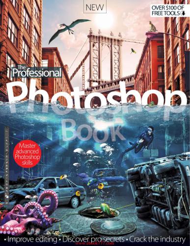 خرید و دانلود نسخه کامل کتاب The Professional Photoshop Book_6865b75de35ed.jpeg خرید و دانلود نسخه کامل کتاب The Professional Photoshop Book