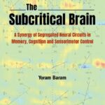 خرید و دانلود نسخه کامل کتاب The Subcritical Brain: A Synergy of Segregated Neural Circuits in Memory, Cognition and Sensorimotor Control
