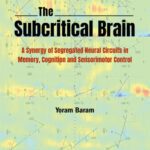 خرید و دانلود نسخه کامل کتاب The Subcritical Brain: A Synergy of Segregated Neural Circuits in Memory, Cognition and Sensorimotor Control