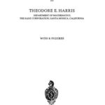 خرید و دانلود نسخه کامل کتاب The Theory of Branching Processes
