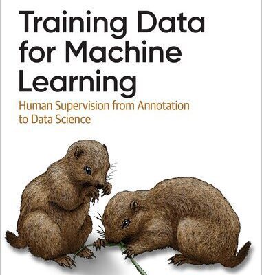 خرید و دانلود نسخه کامل کتاب Training Data for Machine Learning