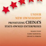 خرید و دانلود نسخه کامل کتاب Under New Ownership: Privatizing China’s State-owned Enterprises