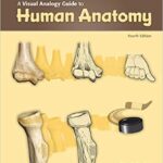 خرید و دانلود نسخه کامل کتاب Visual Analogy Guide to Human Anatomy (4th Edition) -  PDF