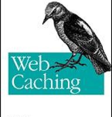 خرید و دانلود نسخه کامل کتاب Web Caching