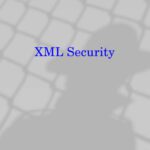 خرید و دانلود نسخه کامل کتاب XML security