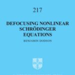 خرید و دانلود نسخه کامل کتاب Defocusing Nonlinear Schrodinger Equations