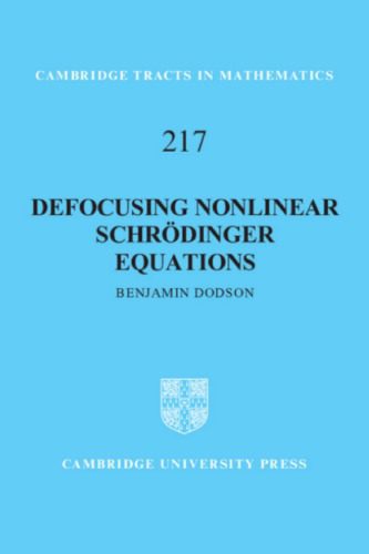 d8aed8b1db8cd8af-d988-d8afd8a7d986d984d988d8af-d986d8b3d8aed987-daa9d8a7d985d984-daa9d8aad8a7d8a8-defocusing-nonlinear-schrodinger-equations_688a9c96c3827.jpeg خرید و دانلود نسخه کامل کتاب Defocusing Nonlinear Schrodinger Equations - تصویر 1