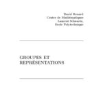 خرید و دانلود نسخه کامل کتاب Groupes et représentations