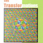 خرید و دانلود نسخه کامل کتاب Les transformations : de la géométrie à l’art