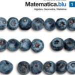 خرید و دانلود نسخه کامل کتاب Matematica.blu - Volume 1 - Algebra, Geometria, Statistica