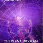 خرید و دانلود نسخه کامل کتاب THE PRANA PROGRAM - Effective & Enjoyable Evolution