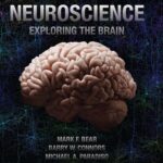 خرید و دانلود نسخه کامل فایل کتاب Neuroscience: Exploring the Brain 5th Edition - PDF | میکی بوک