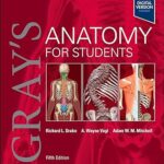 خرید و دانلود نسخه کامل فایل Gray's Anatomy for Students (5th Edition) original pdf | میکی بوک