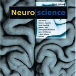 خرید و دانلود نسخه کامل فایل Neuroscience 3rd Edition | میکی بوک