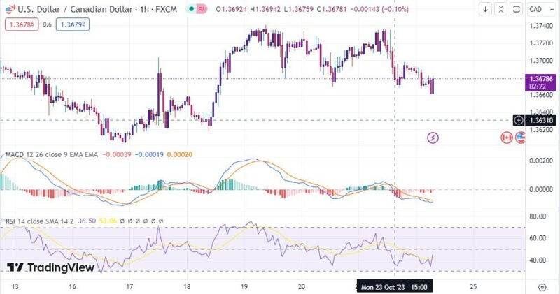 خرید و دانلود اندیکاتور تشخیص واگرایی مثبت و منفی در تریدینگ ویو با نام های MACD and RSI - تصویر 4
