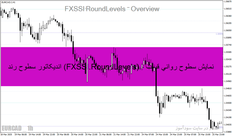خرید و دانلود اندیکاتور سطوح رند (FXSSI.RoundLevels) - نمایش سطوح روانی قیمت روی نمودار - تصویر 5