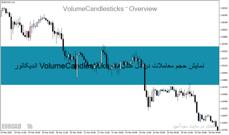 خرید و دانلود اندیکاتور VolumeCandlesticks - نمایش حجم معاملات در دل کندل‌ها برای MT4 و MT5 - تصویر 5