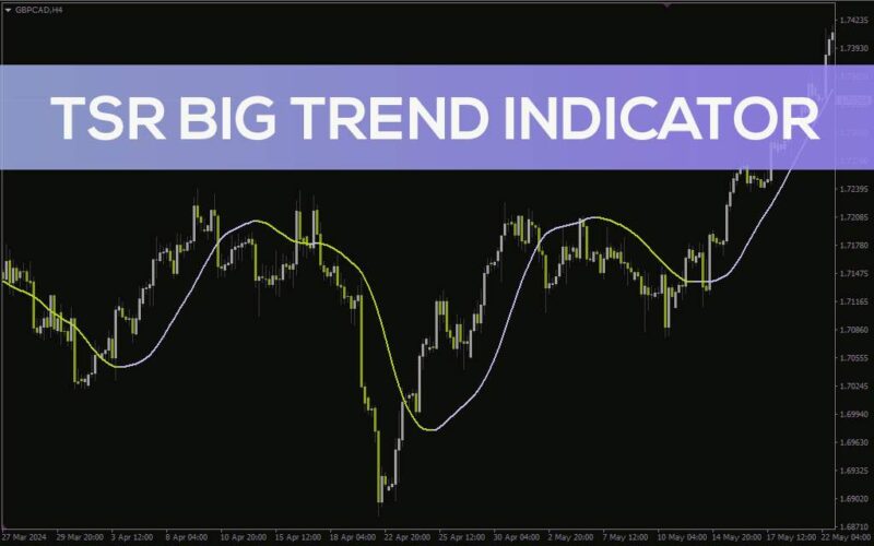 خرید و دانلود تشخیص روند و نقاط بازگشتی با خط شیب میانگین متحرک در اندیکاتور TSR Big Trend برای MT4 - تصویر 2