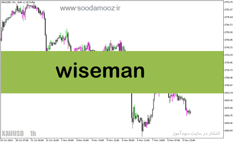 خرید و دانلود دانلود اندیکاتور تغییر روند برای متاتریدر5 با نام Wiseman - تصویر 2