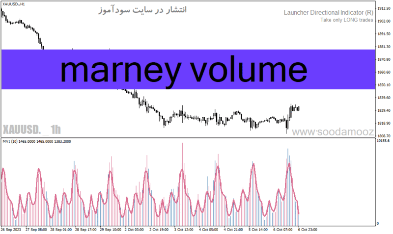 خرید و دانلود دانلود اندیکاتور حجم برای متاتریدر4 با نام marney volume - تصویر 2